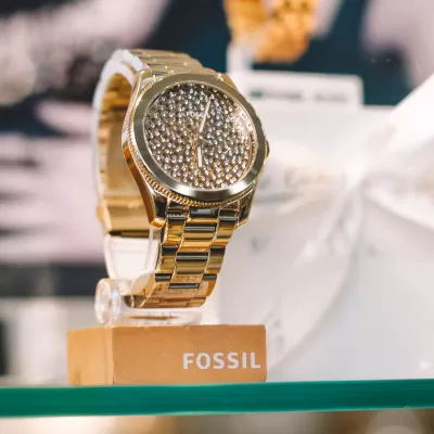 Rel&oacute;gio F&oacute;ssil 