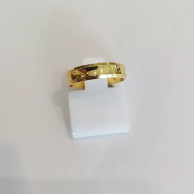 Alian&ccedil;a C493R